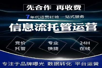 行业报告：专业SEM托管的成功实践与挑战